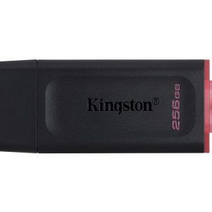Kingston 256Gb DTX Pendrive
